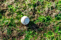 CMS Baseball Team February 2026