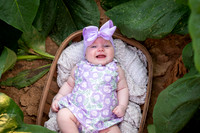 Reese Damer-3 Month Session August 2026